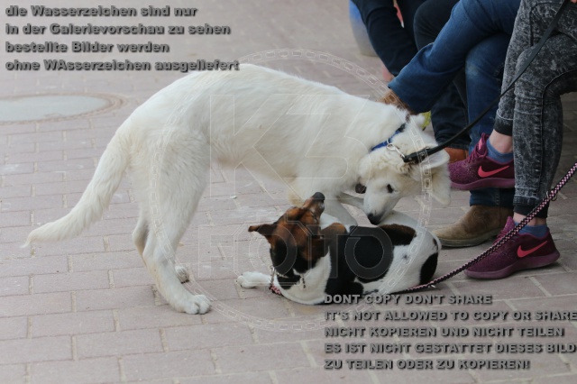 s_IMG_5741.JPG
